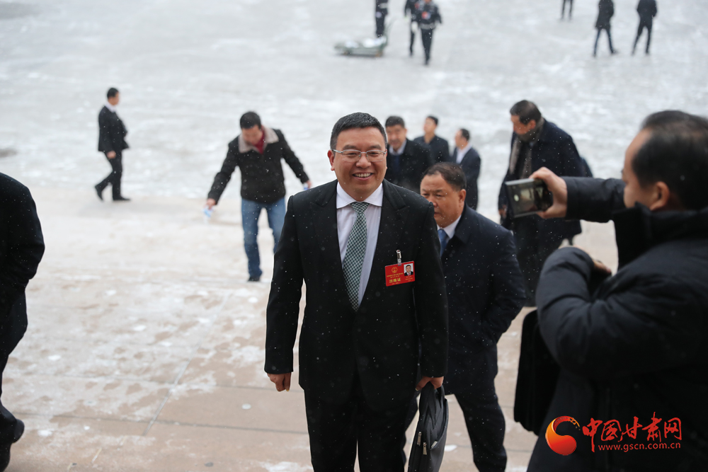 【聚焦2020甘肅兩會】“兩會”代表、委員風采掠影（組圖）