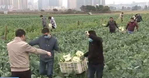 三部門聯合通知: 保障“菜籃子”產品 農業(yè)生產資料流通