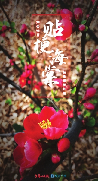 來(lái)，跟這些美美的花朵認(rèn)識(shí)一下！