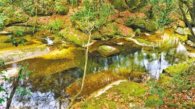 甘肅旅游丨八福溝，西秦嶺深處的水韻秘境