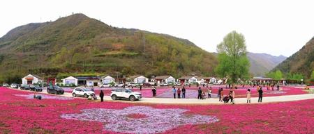 美麗隴南，風景這邊獨好——隴南市推進鄉(xiāng)村旅游高質(zhì)量發(fā)展綜述