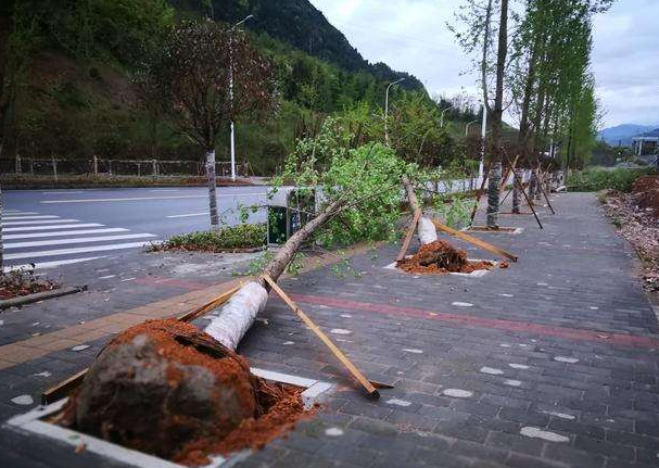 刮風(fēng)下雨加速新冠病毒傳播？別信！