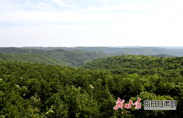 【甘肅生態(tài)環(huán)保媒體行】子午嶺深處，一家三代人用生命守護(hù)黃土高原的“天然生態(tài)屏障”