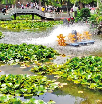 走，到五泉山公園看花展去