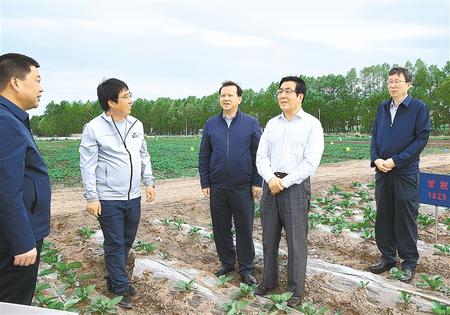 林鐸在天?？h調(diào)研指導(dǎo)脫貧攻堅(jiān)工作時(shí)強(qiáng)調(diào)  拉開(kāi)架勢(shì)持續(xù)用力構(gòu)建扶貧產(chǎn)業(yè)體系 多措并舉固強(qiáng)補(bǔ)弱鞏固提升脫貧成果