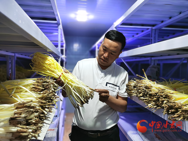 甘肅民勤：以科技創(chuàng)新引領智慧農(nóng)業(yè)