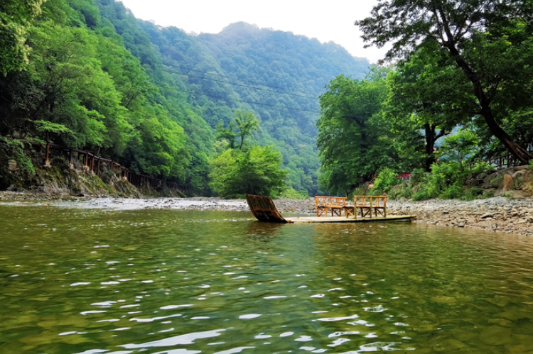 【小隴畫報(bào)·95期】康縣：來陽壩，“森”呼吸，我“氧”你