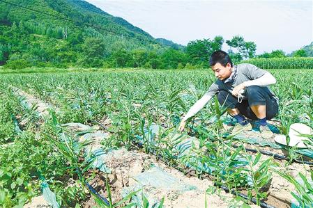 【走向我們的小康生活】安居樂業(yè) 幸?；ㄩ_