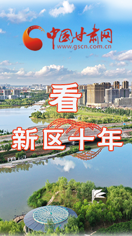 圖解|崛起！新區(qū)十年