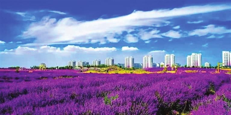“三連冠”！金昌蟬聯(lián)全國文明城市