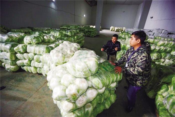 蘭州市已儲備1萬噸冬春蔬菜以耐貯存、易周轉(zhuǎn)品種為主
