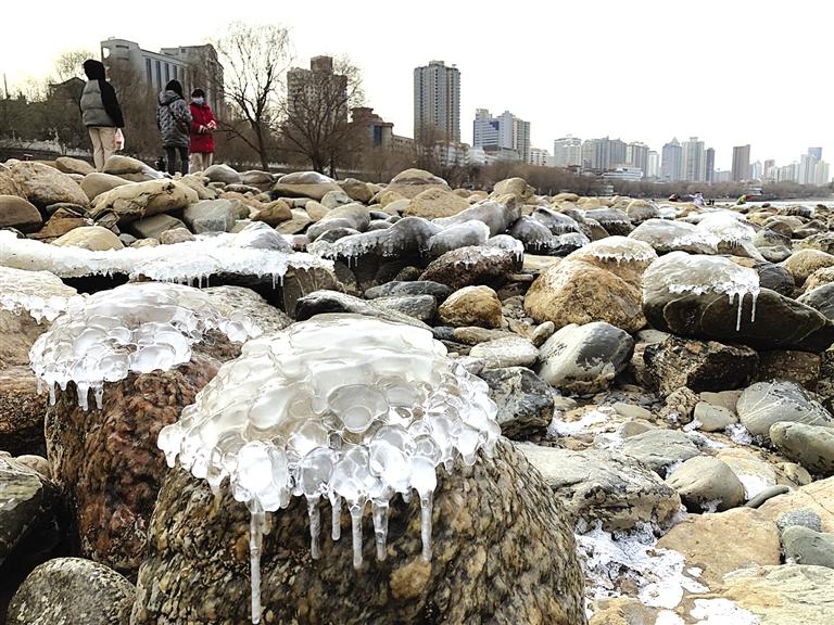 蘭州：水母上河灘？
