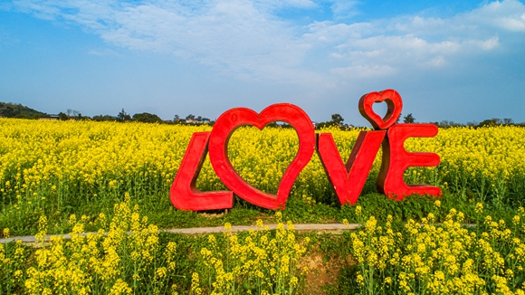“l(fā)ove”創(chuàng)意拍照墻。廖濤 攝