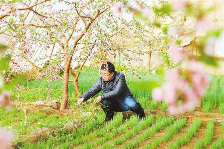 甘肅：時(shí)令催人耕種忙，不誤田間一季春