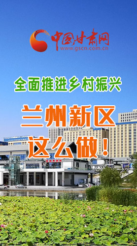 圖解|全面推進(jìn)鄉(xiāng)村振興 蘭州新區(qū)這么做！