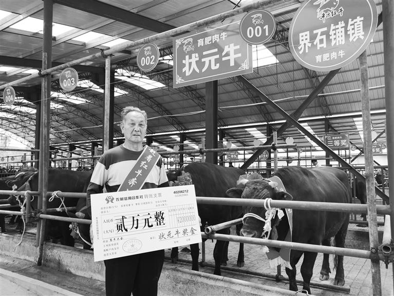 120頭“平?jīng)黾t?！膘o寧爭霸