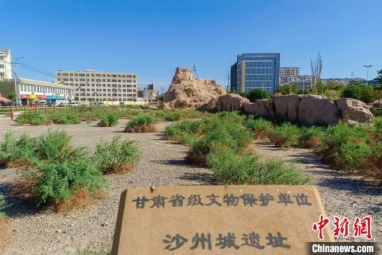 圖為沙州郡城遺址公園古遺址。　王斌銀 攝