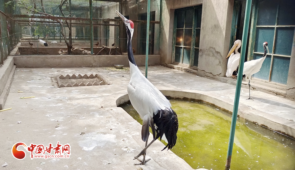 蘭州公安提醒市民：非緊急非必要，不出境