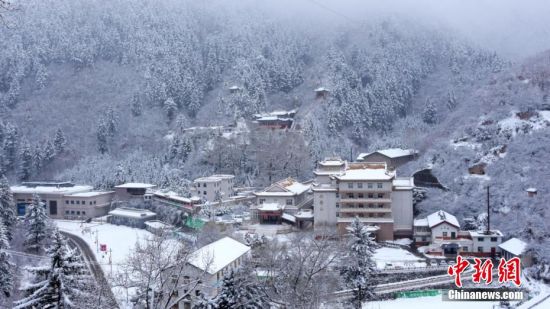 圖為籠罩在雪下的世界。吳永 攝