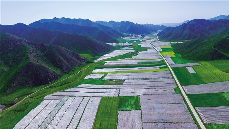 蘭州永登縣打贏(yíng)三場(chǎng)攻堅(jiān)戰(zhàn)做好“產(chǎn)業(yè)興旺”大文章