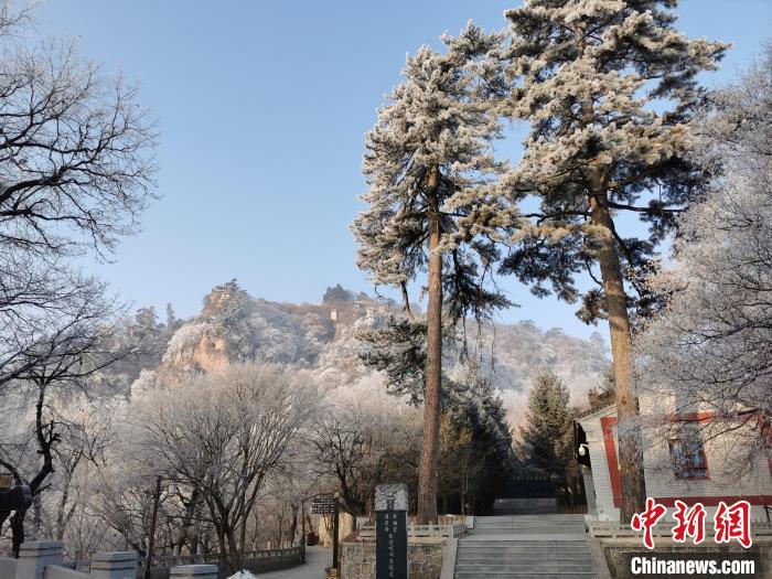 圖為崆峒山霧凇景色美不勝收?！⌒煺袢A 攝