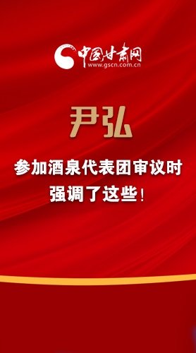 【2022甘肅兩會·圖解】尹弘書記參加酒泉代表團審議時強調(diào)了這些！