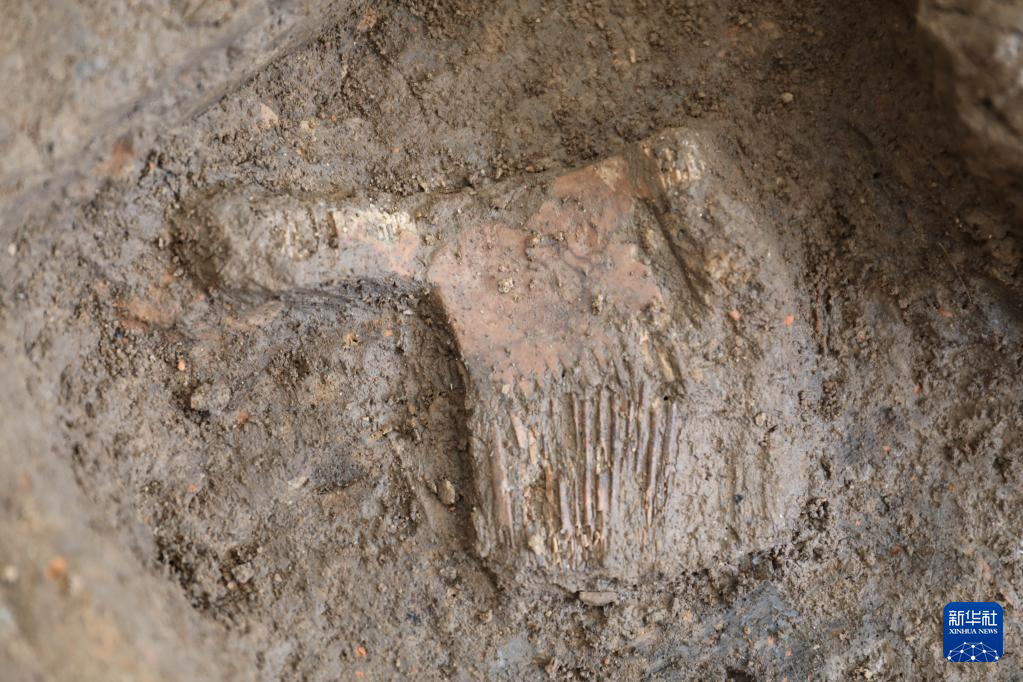 河南南陽市黃山新石器時(shí)代遺址出土的屈家?guī)X文化骨梳（資料圖）。