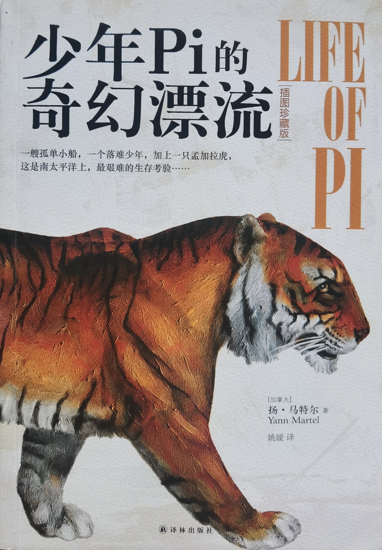 插圖1：揚(yáng)？馬特爾的小說《少年pi的奇幻漂流》封面