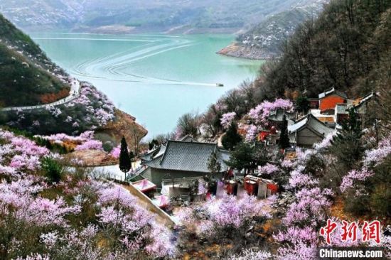 甘肅平涼市是中國優(yōu)秀旅游城市。圖為平涼崆峒山下十里桃花盛開。(資料圖) 平涼市委宣傳部供圖