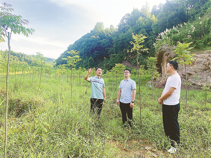 1657581590375651.jpg 22.jpg