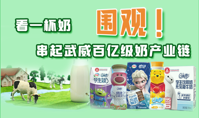 圖解|圍觀！看一杯奶串起武威百億級奶產(chǎn)業(yè)鏈