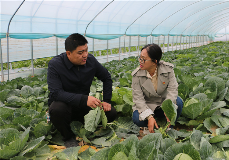 潘蕙蘭（右一）在甘肅隴之味生態(tài)農業(yè)科技有限公司走訪調研了解惠農政策落實情況。.jpg