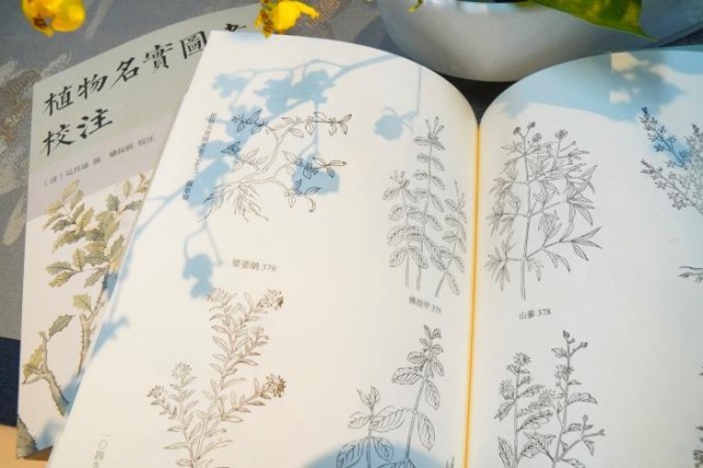 《植物名實圖考校注》內(nèi)頁。圖片來源：中華書局供圖