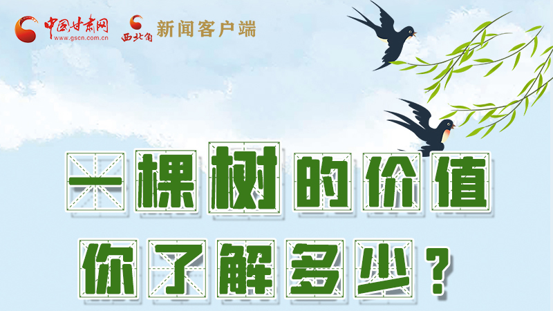 圖解|一棵樹(shù)的價(jià)值你了解多少?來(lái)看！