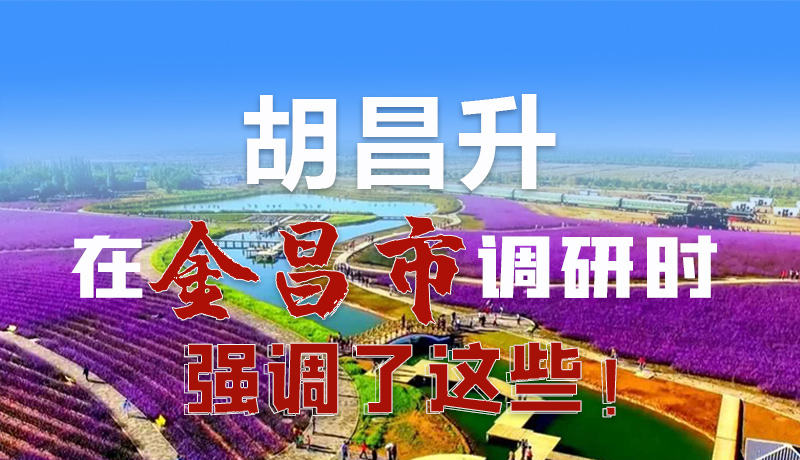 圖解|胡昌升在金昌市調(diào)研時強調(diào)了這些！