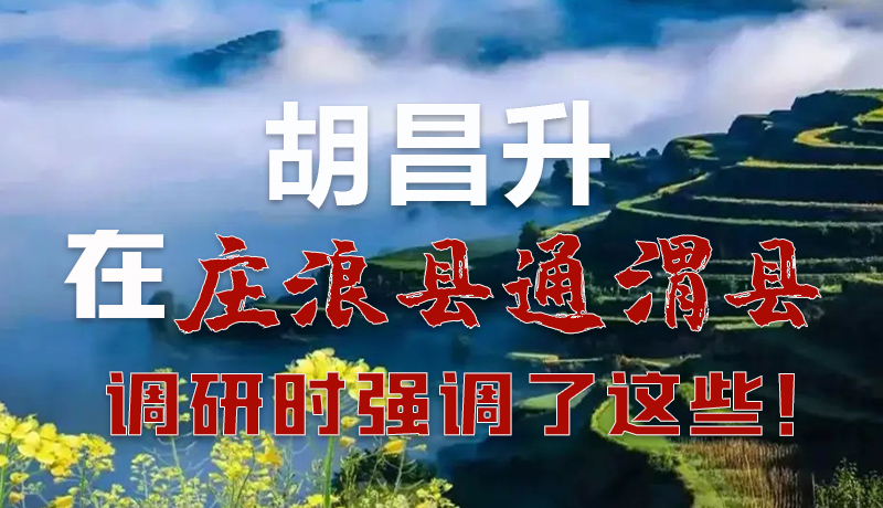 圖解|胡昌升在莊浪縣通渭縣調研時強調了這些！