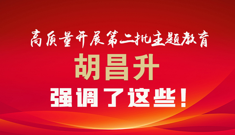 圖解|高質(zhì)量開展第二批主題教育 胡昌升強(qiáng)調(diào)了這些！
