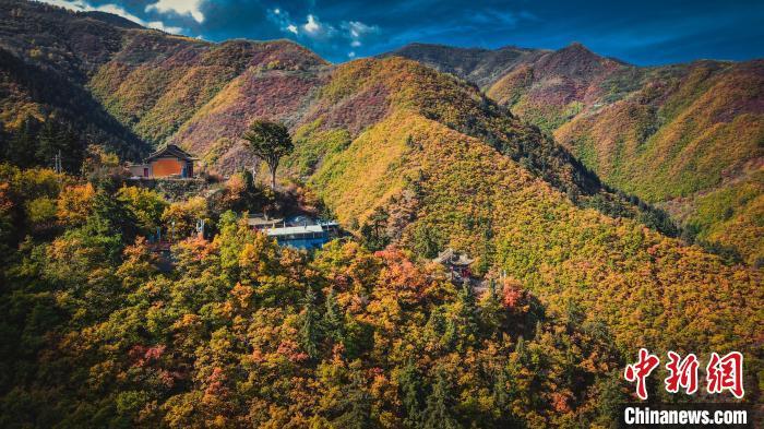 深秋，位于蘭州市榆中縣的興隆山，似打翻調色板。金峯 攝