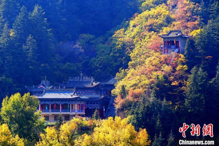 深秋，位于蘭州市榆中縣的興隆山景色如畫。宮衛(wèi)紅 攝