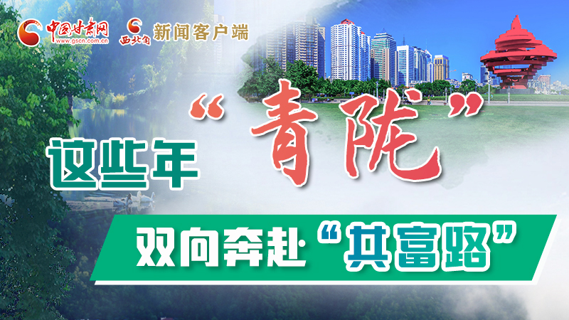 【江河奔流·青隴協作譜新篇】這些年，“青隴”雙向奔赴“共富路”