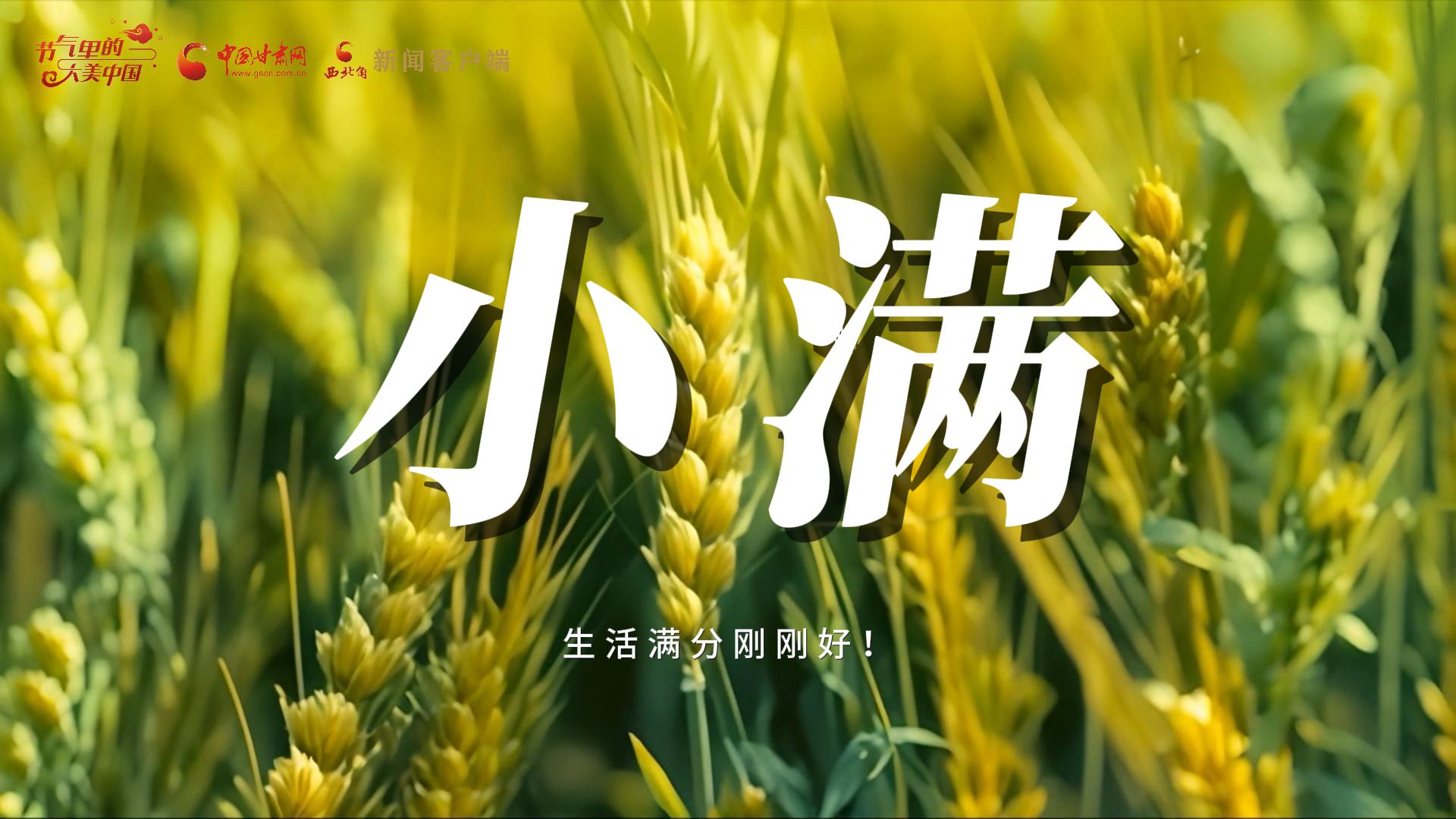 【節(jié)氣里的大美甘肅·小滿】生活滿分剛剛好！