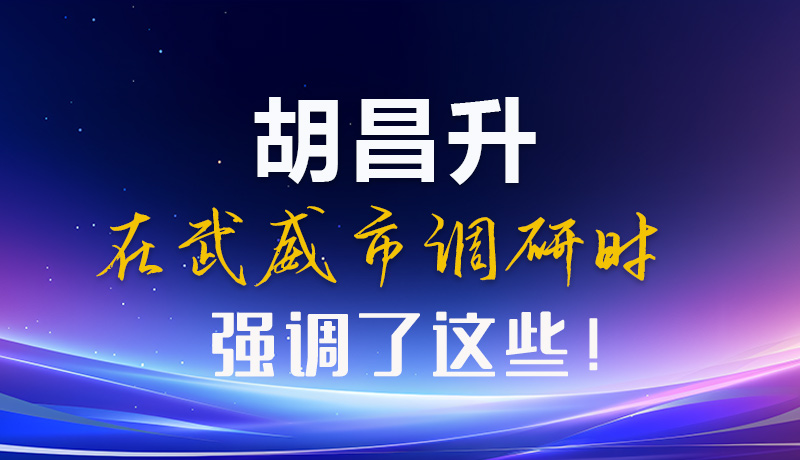 圖解|胡昌升在武威市調(diào)研時(shí)強(qiáng)調(diào)了這些！