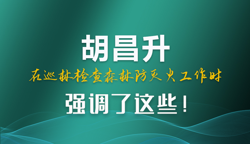 圖解|胡昌升在巡林檢查森林防滅火工作時(shí)強(qiáng)調(diào)了這些！
