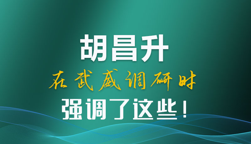 圖解|胡昌升在武威調(diào)研時(shí)強(qiáng)調(diào)了這些！