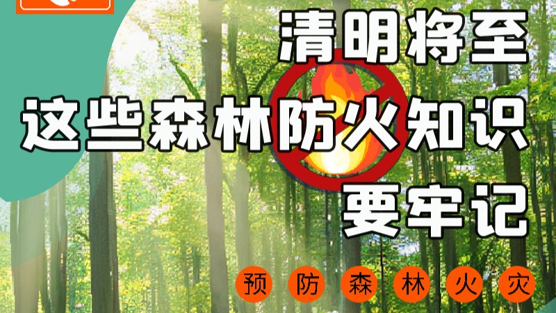 【甘快看】圖解|緊繃“安全弦”！清明，這些森林防火知識(shí)要牢記
