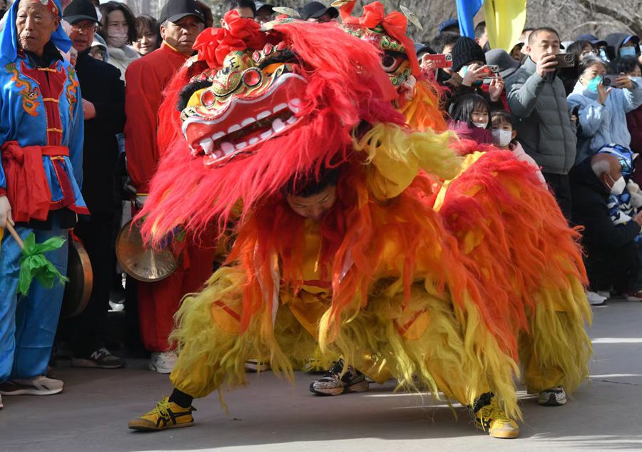 蘭州北獅表演現(xiàn)場(chǎng)。受訪者供圖