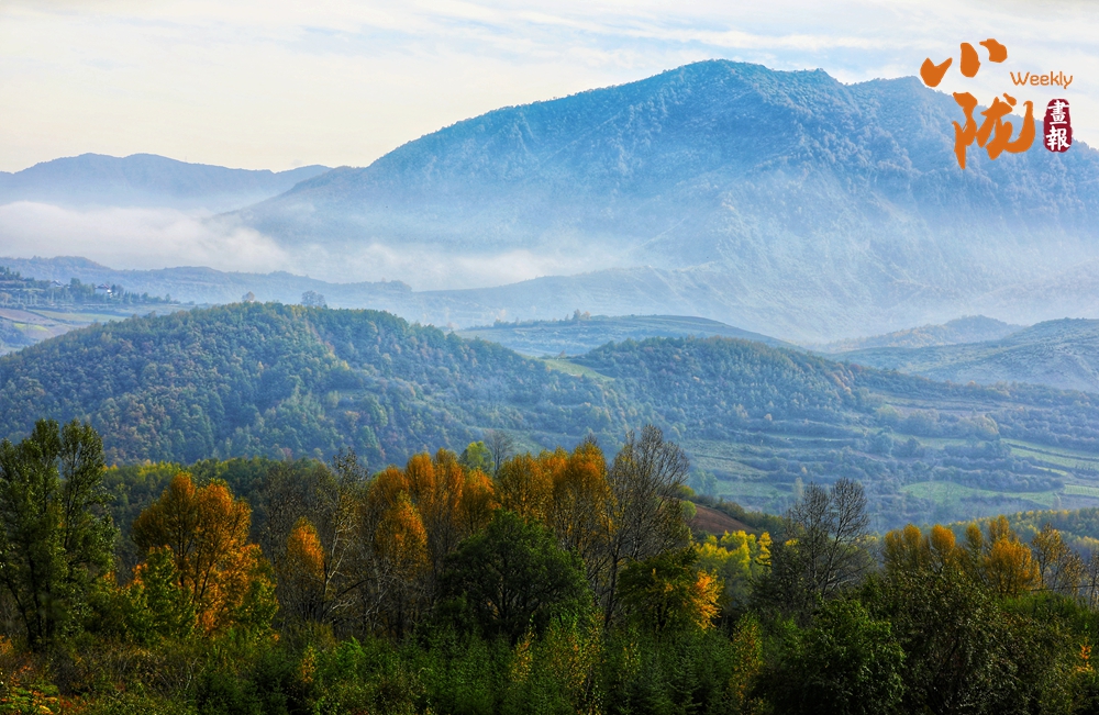 多圖放送 斑斕臨夏冬色迷人