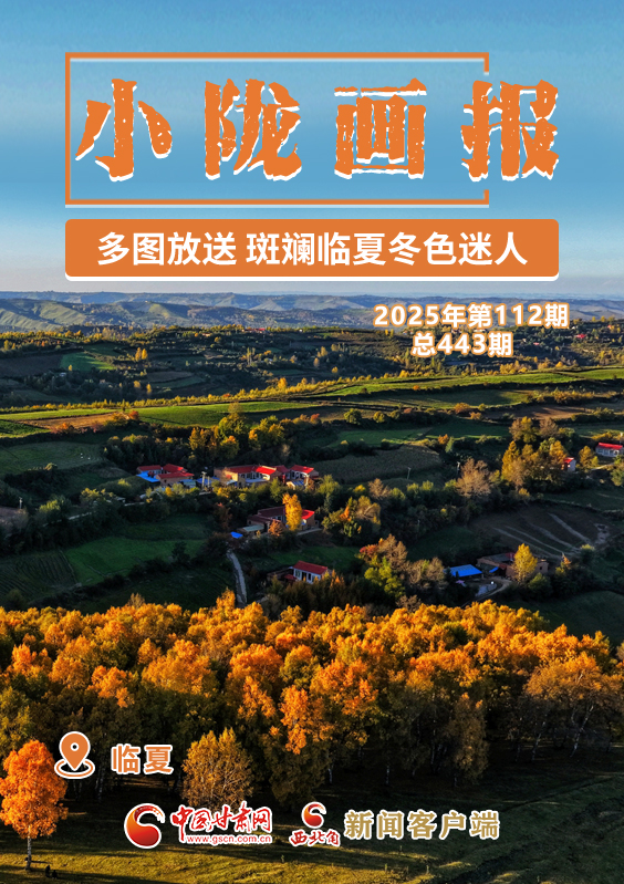 【小隴畫(huà)報(bào)·443期】多圖放送 斑斕臨夏冬色迷人