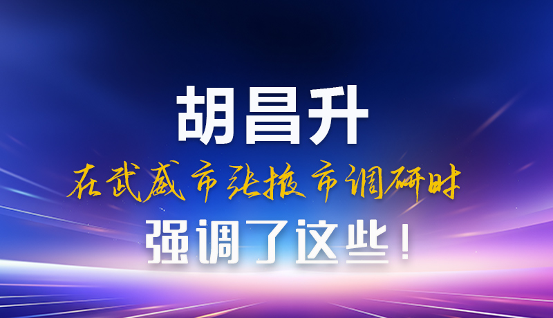 圖解|胡昌升在武威市張掖市調(diào)研時(shí)強(qiáng)調(diào)這些！