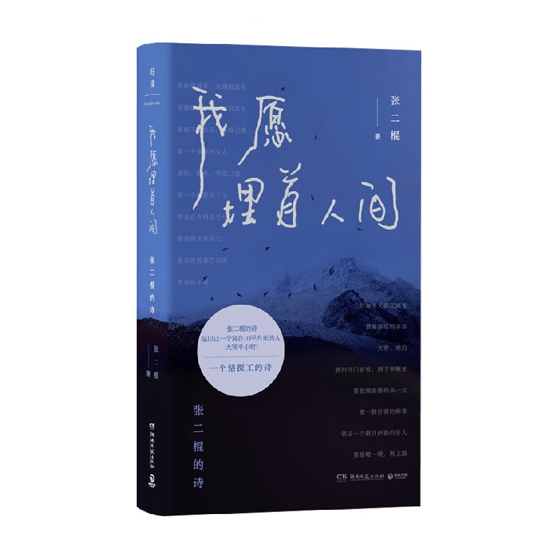 張二棍《我愿埋首人間》：在大地上行吟 在人世間客居